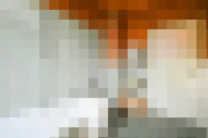 Damsigtstraat 2 Voorburg thumbnail 44