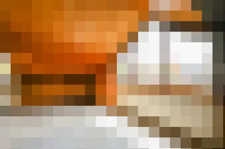 Damsigtstraat 2 Voorburg thumbnail 50