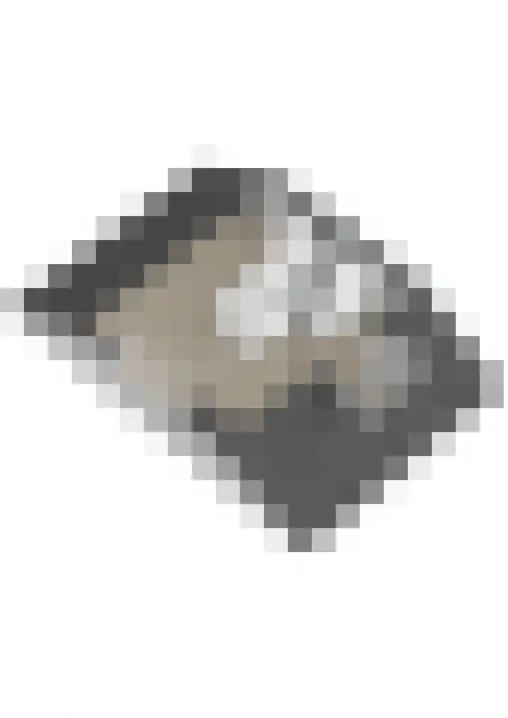 Damsigtstraat 2 Voorburg thumbnail 59