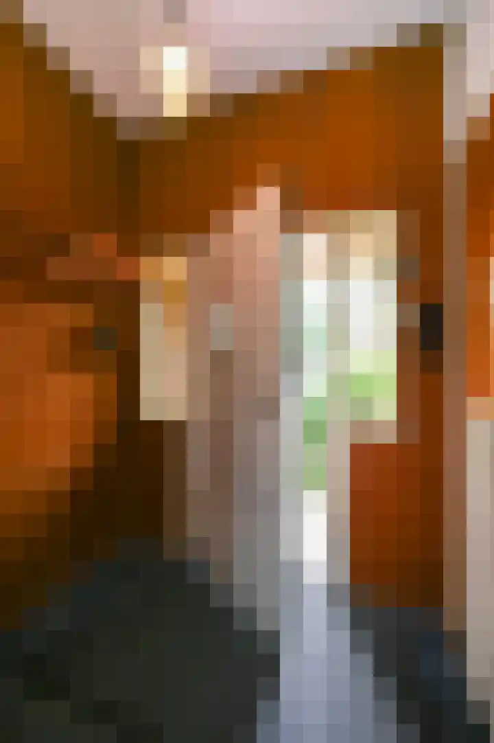 Damsigtstraat 2 Voorburg thumbnail 6