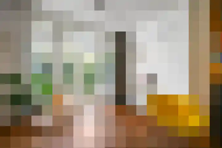 Damsigtstraat 52 Voorburg thumbnail 13