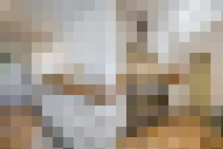 Damsigtstraat 52 Voorburg thumbnail 22