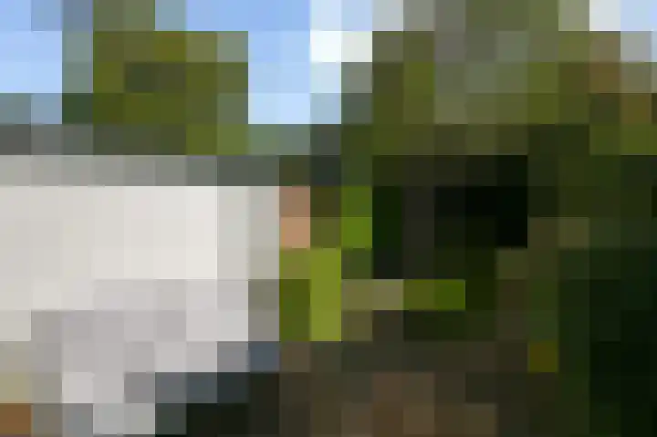 Damsigtstraat 52 Voorburg thumbnail 24