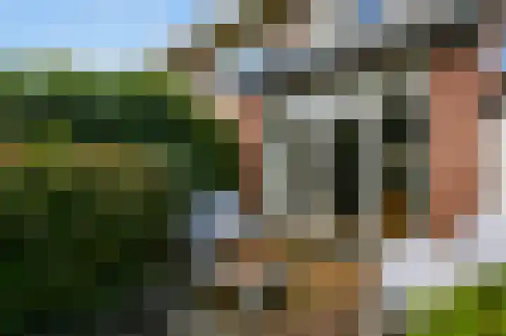 Damsigtstraat 52 Voorburg thumbnail 25