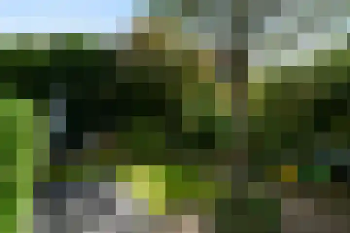 Damsigtstraat 52 Voorburg thumbnail 26