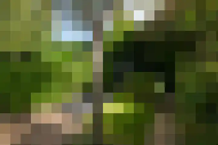 Damsigtstraat 52 Voorburg thumbnail 27