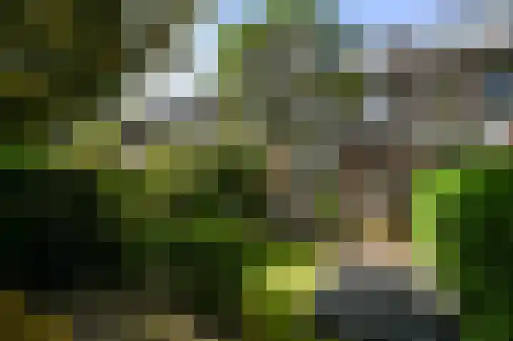 Damsigtstraat 52 Voorburg thumbnail 28