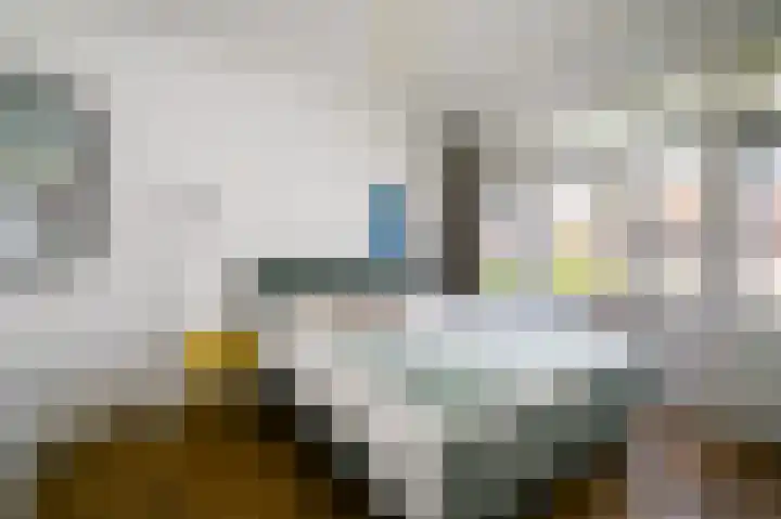 Damsigtstraat 52 Voorburg thumbnail 32