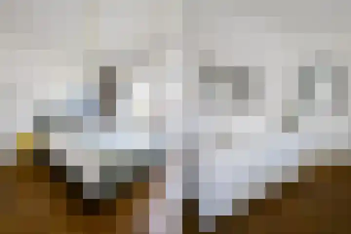 Damsigtstraat 52 Voorburg thumbnail 33