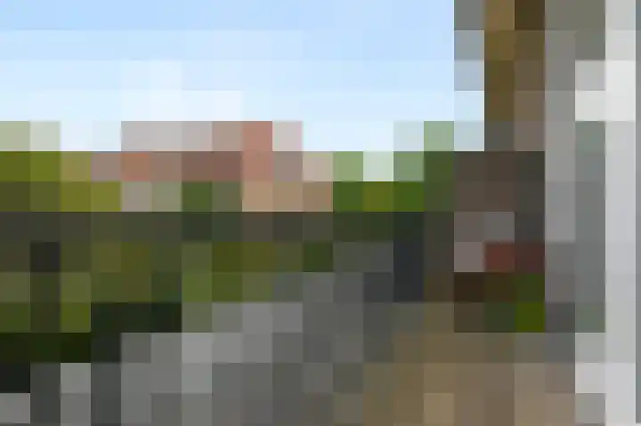 Damsigtstraat 52 Voorburg thumbnail 34