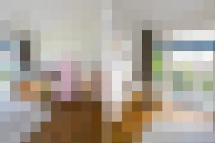 Damsigtstraat 52 Voorburg thumbnail 37