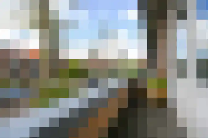 Damsigtstraat 52 Voorburg thumbnail 38