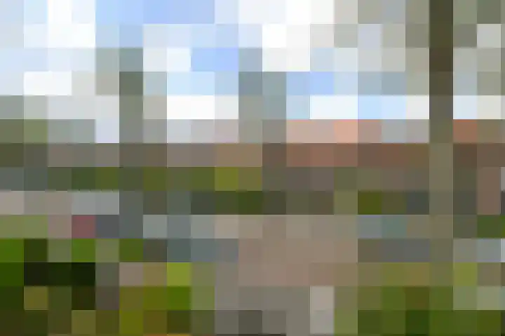 Damsigtstraat 52 Voorburg thumbnail 39