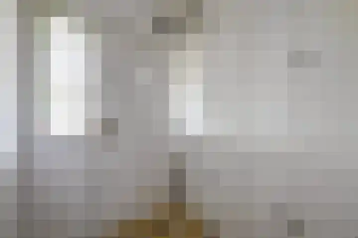 Damsigtstraat 52 Voorburg thumbnail 4