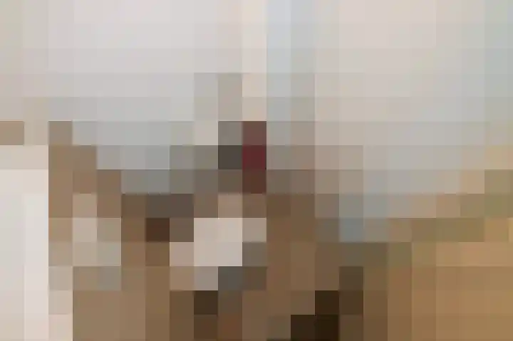 Damsigtstraat 52 Voorburg thumbnail 41