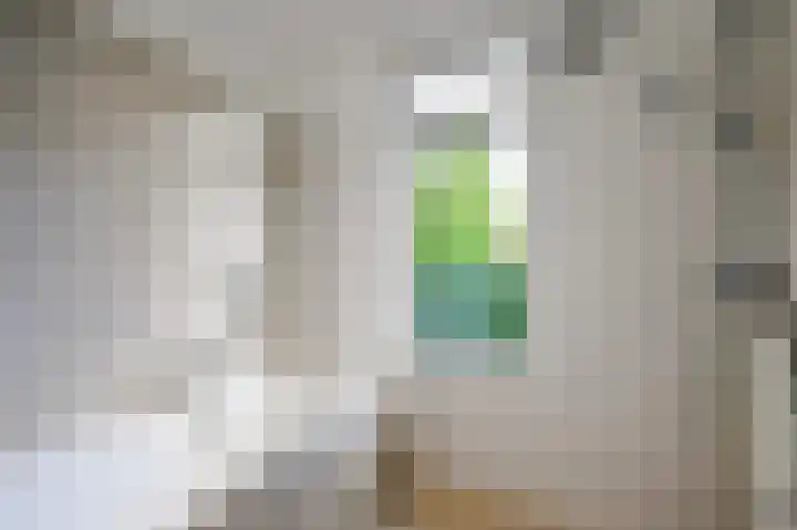 Damsigtstraat 52 Voorburg thumbnail 43