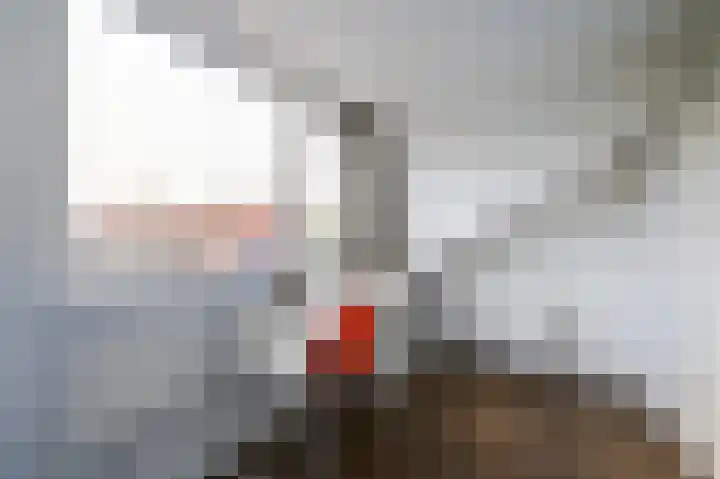 Damsigtstraat 52 Voorburg thumbnail 51