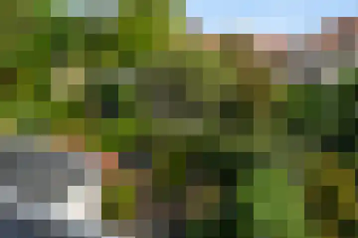 Damsigtstraat 52 Voorburg thumbnail 52