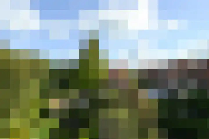 Damsigtstraat 52 Voorburg thumbnail 53