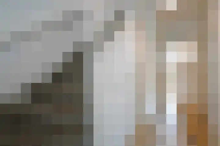 Damsigtstraat 52 Voorburg thumbnail 6