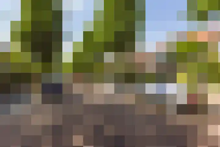 Damsigtstraat 52 Voorburg thumbnail 62
