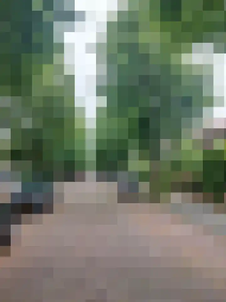 Damsigtstraat 52 Voorburg thumbnail 63