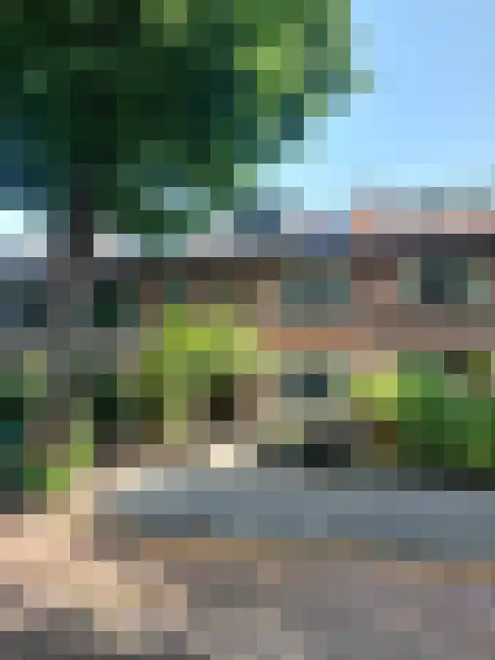 Damsigtstraat 52 Voorburg thumbnail 64