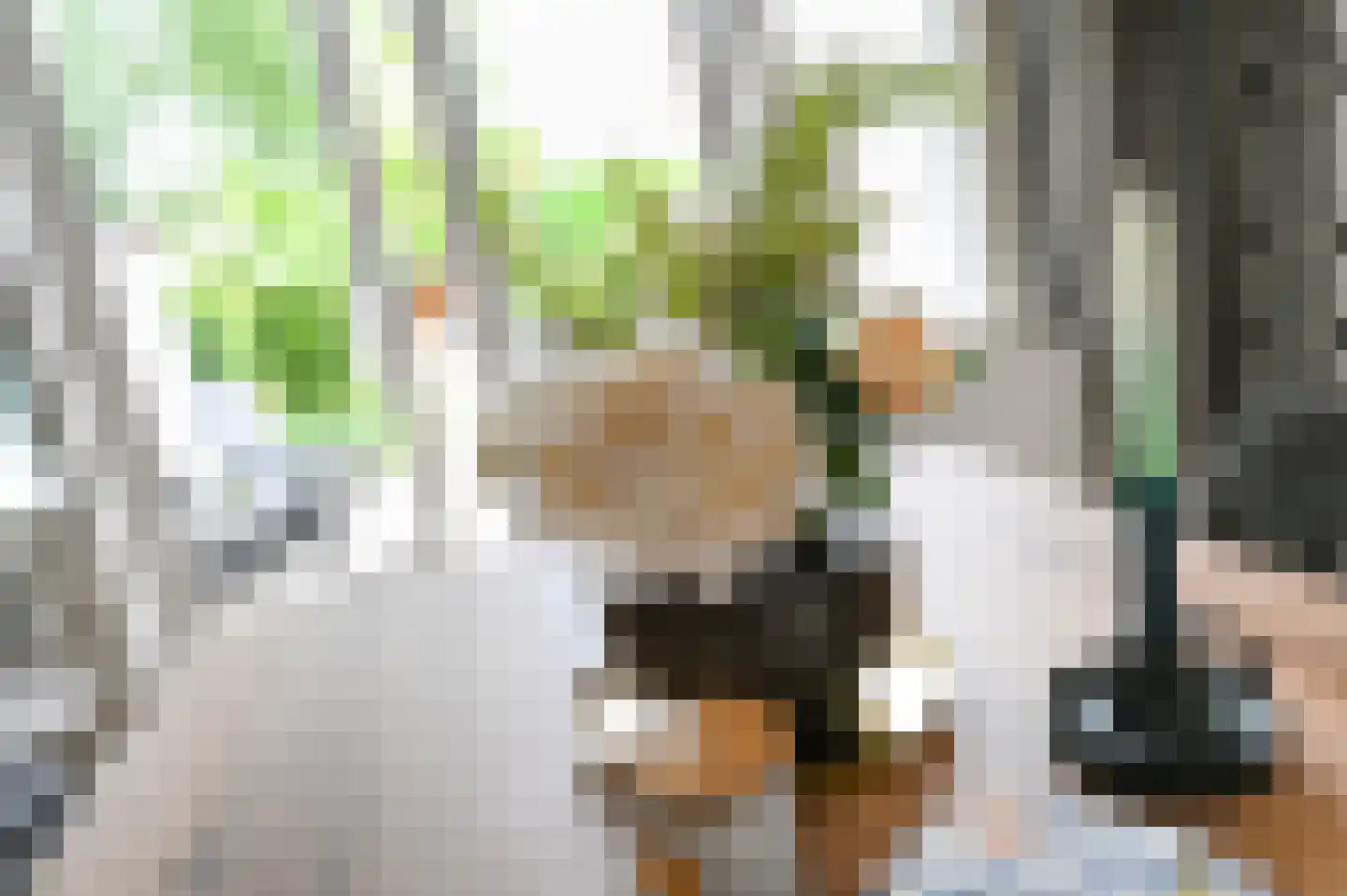 Damsigtstraat 56 Voorburg thumbnail 16
