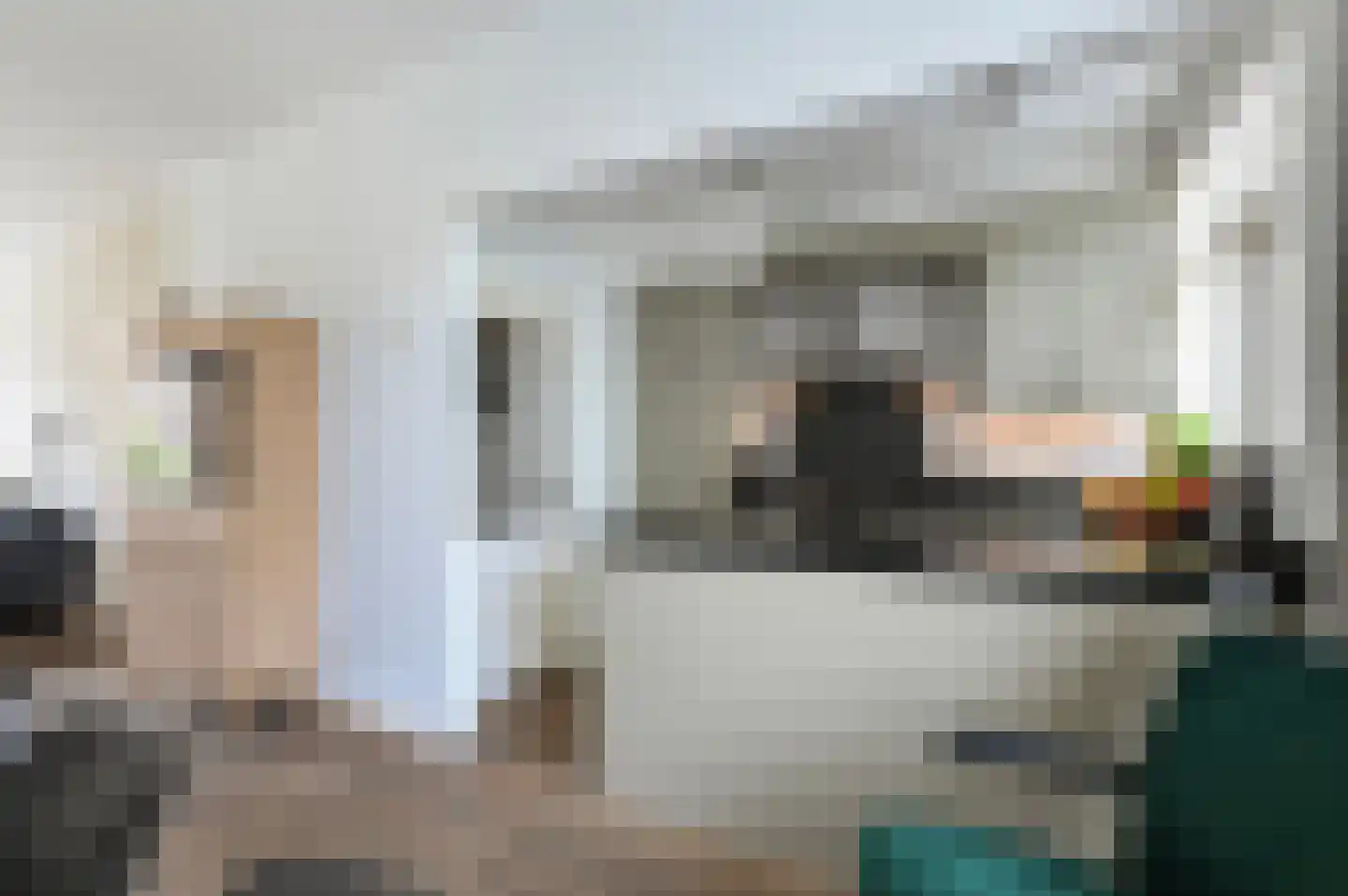 Damsigtstraat 56 Voorburg thumbnail 18