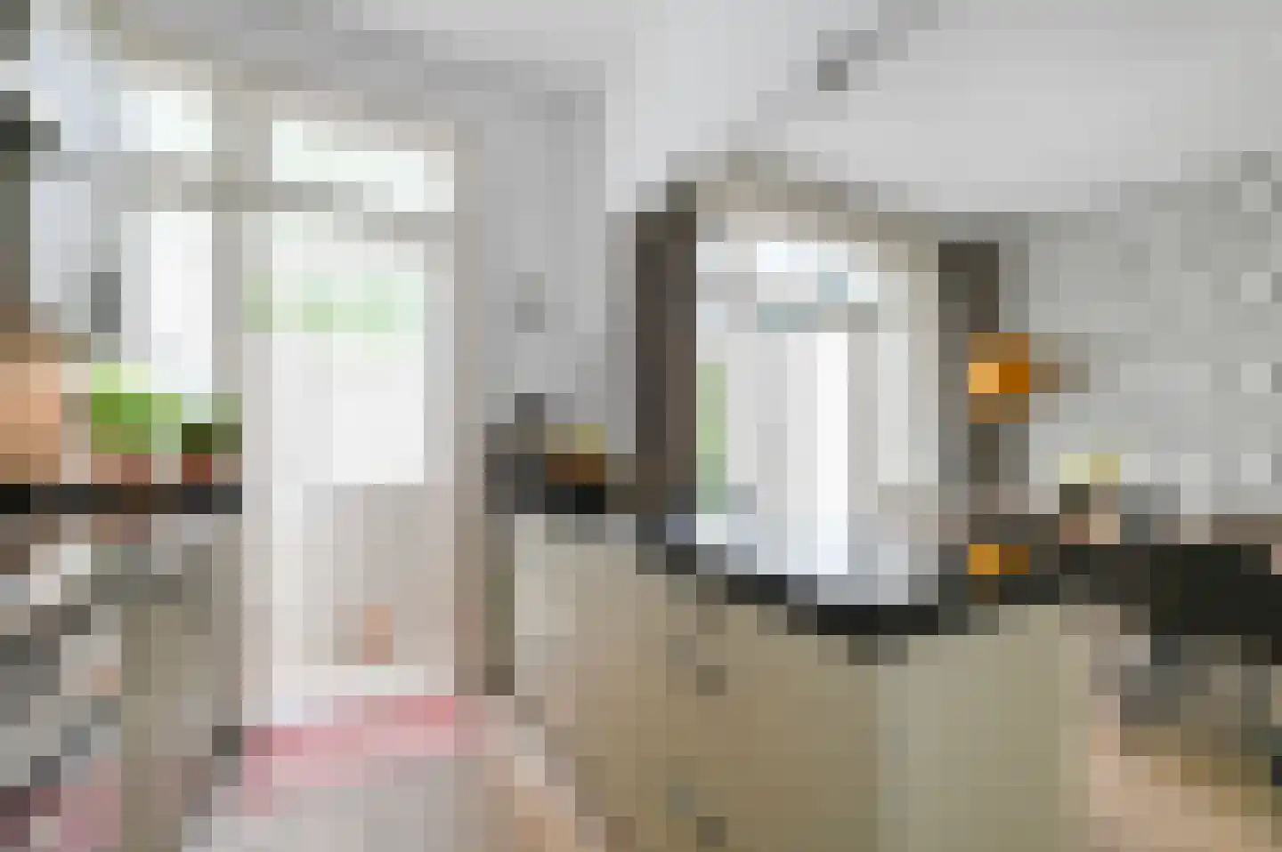 Damsigtstraat 56 Voorburg thumbnail 19