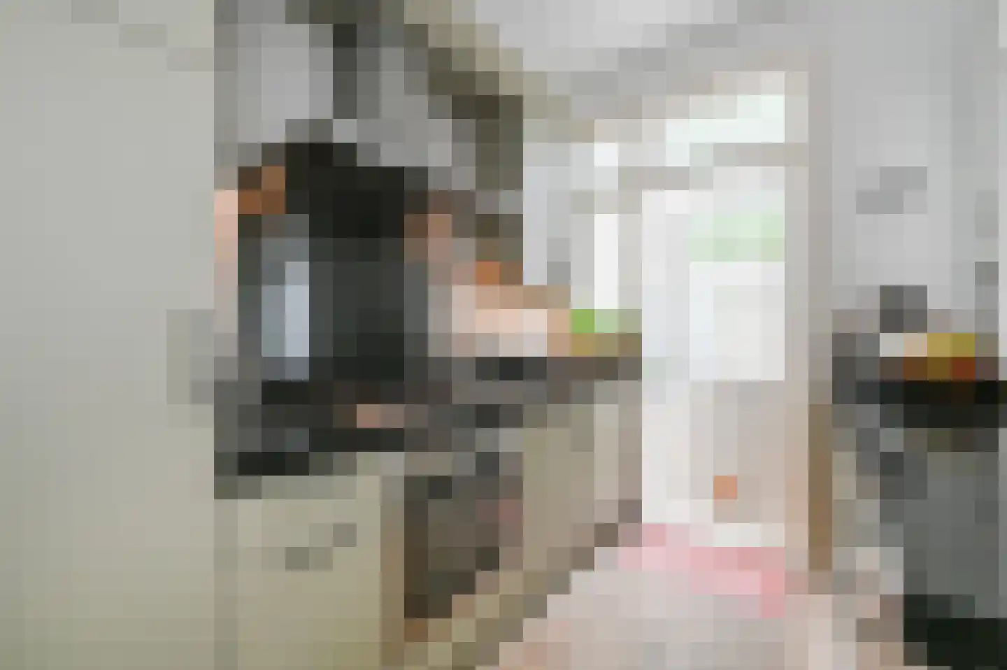 Damsigtstraat 56 Voorburg thumbnail 21