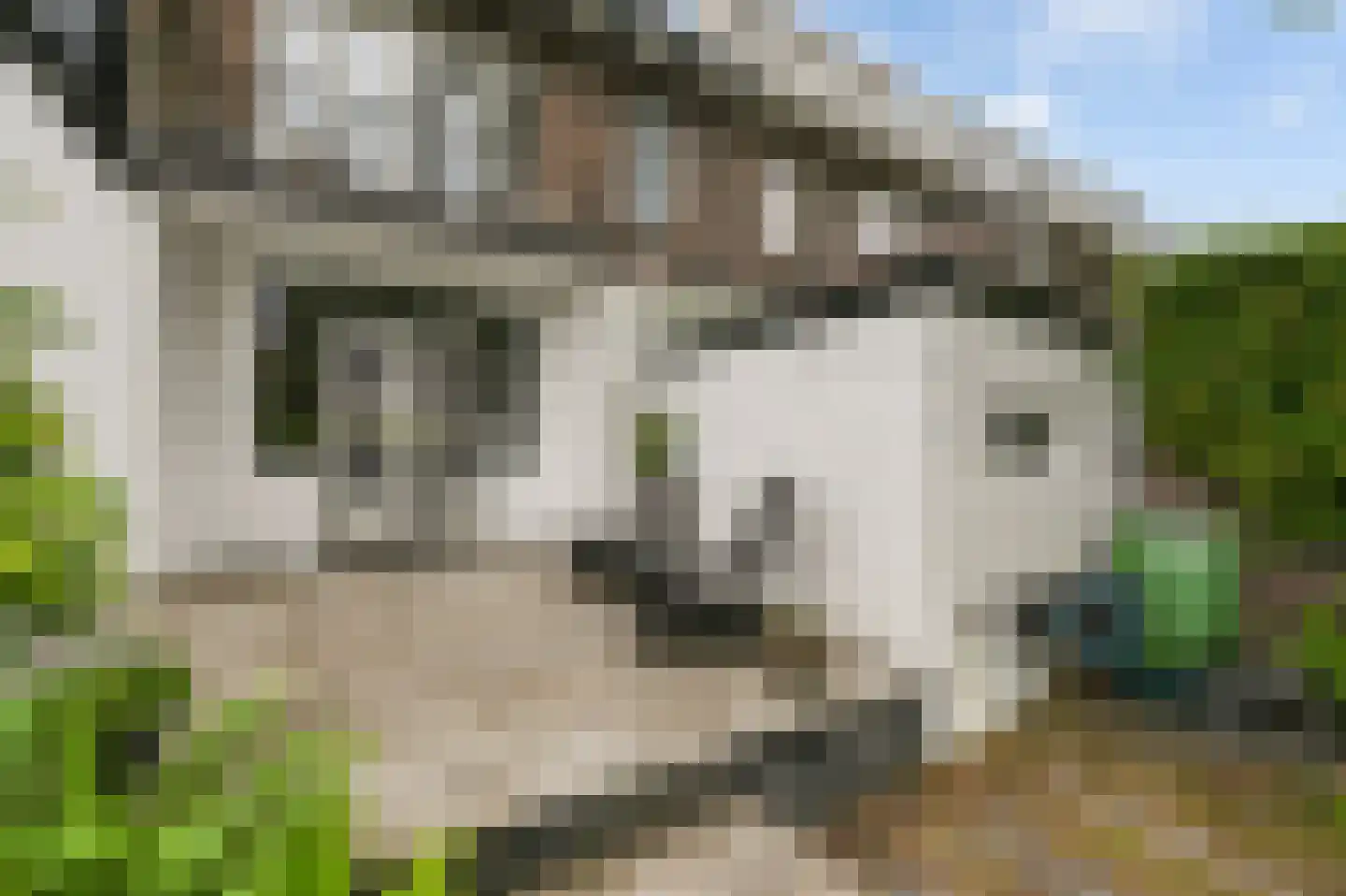 Damsigtstraat 56 Voorburg thumbnail 25