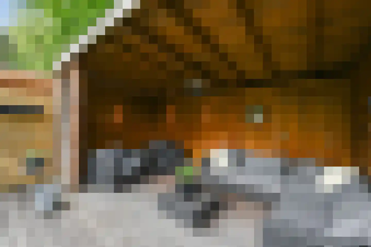 Damsigtstraat 56 Voorburg thumbnail 31