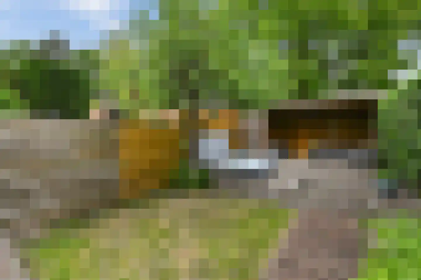Damsigtstraat 56 Voorburg thumbnail 34