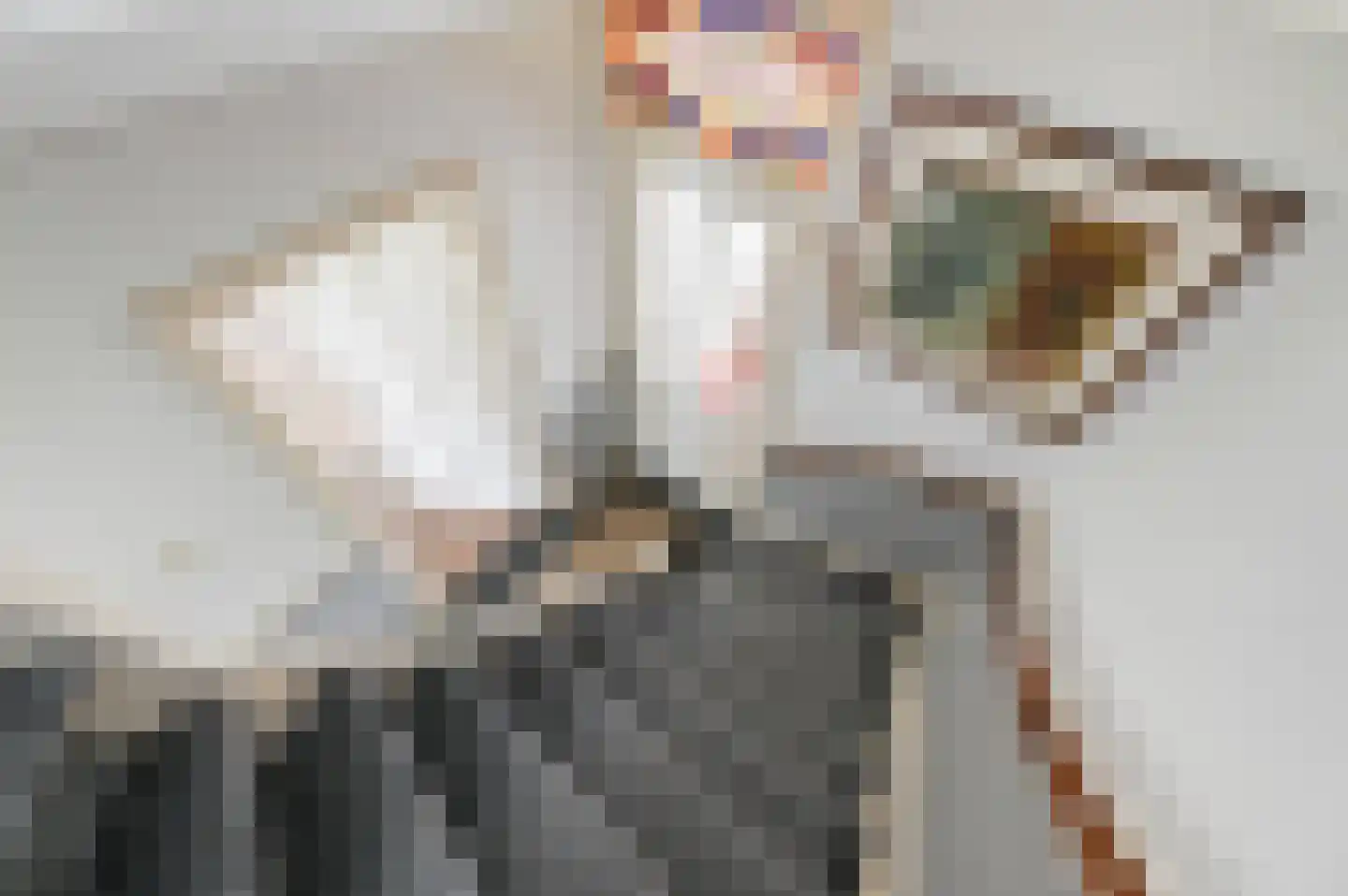 Damsigtstraat 56 Voorburg thumbnail 36
