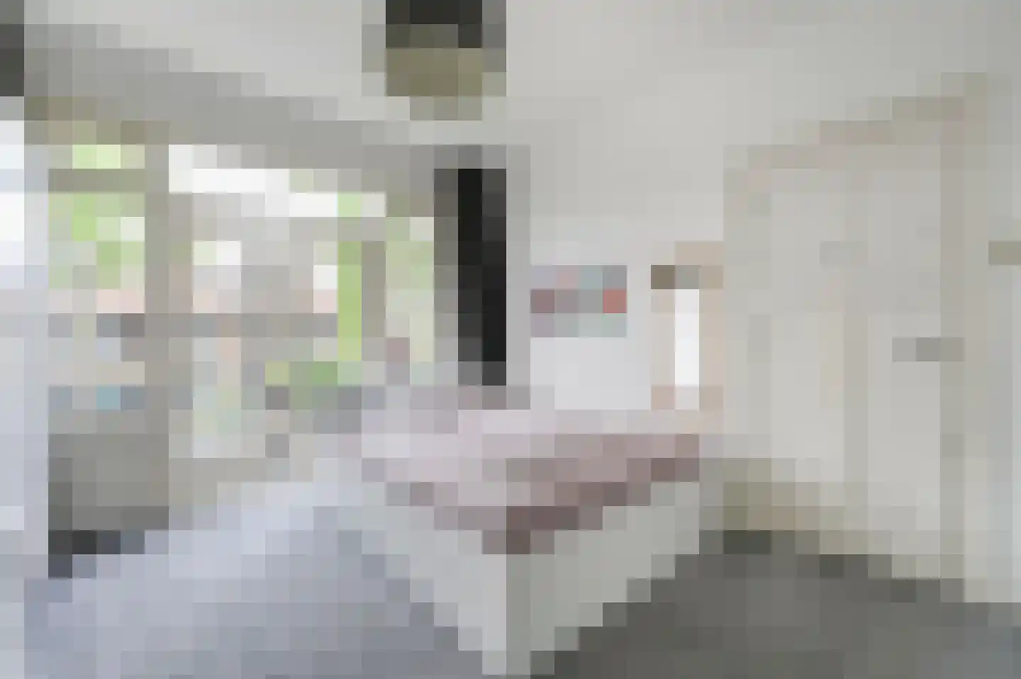 Damsigtstraat 56 Voorburg thumbnail 39