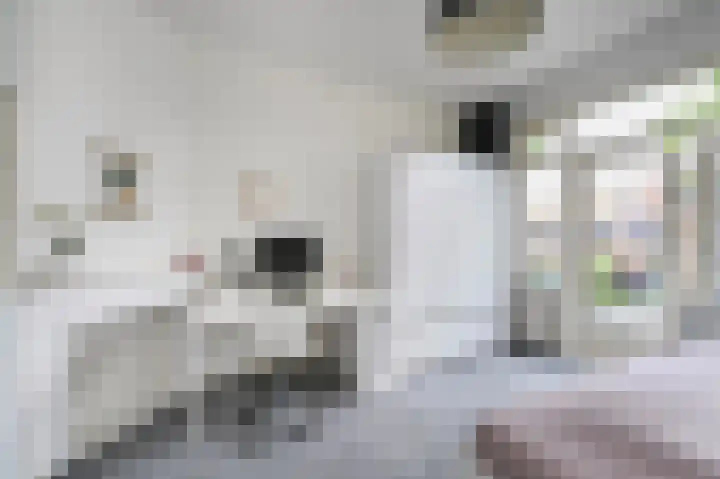 Damsigtstraat 56 Voorburg thumbnail 40