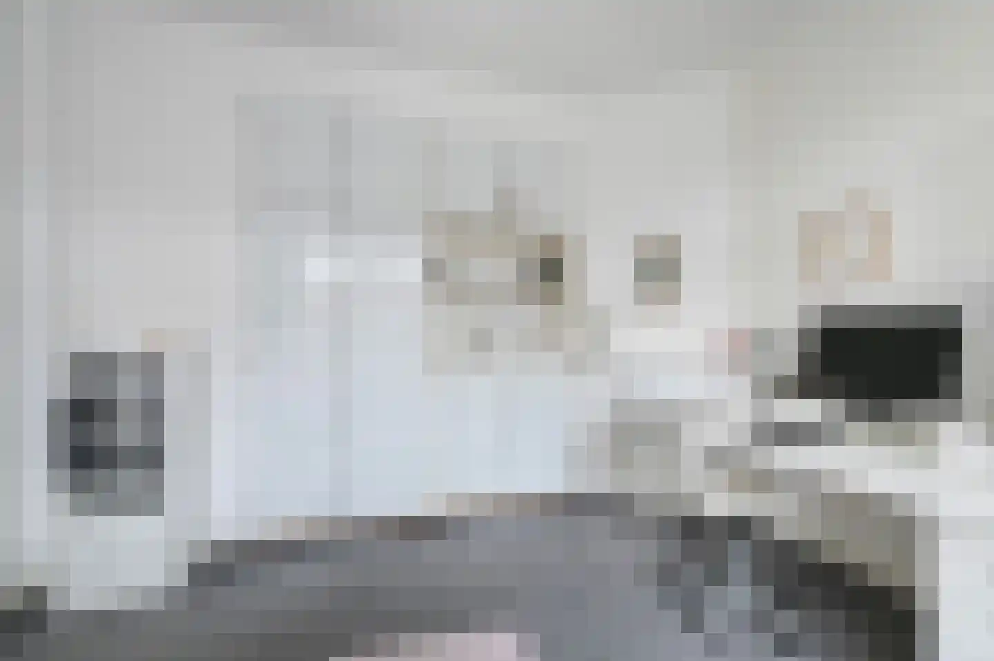Damsigtstraat 56 Voorburg thumbnail 41