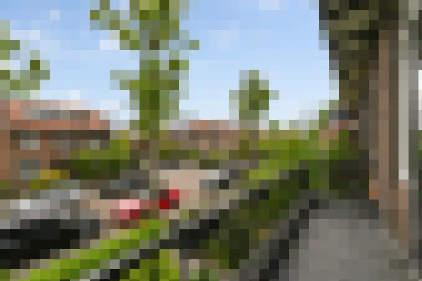 Damsigtstraat 56 Voorburg thumbnail 42