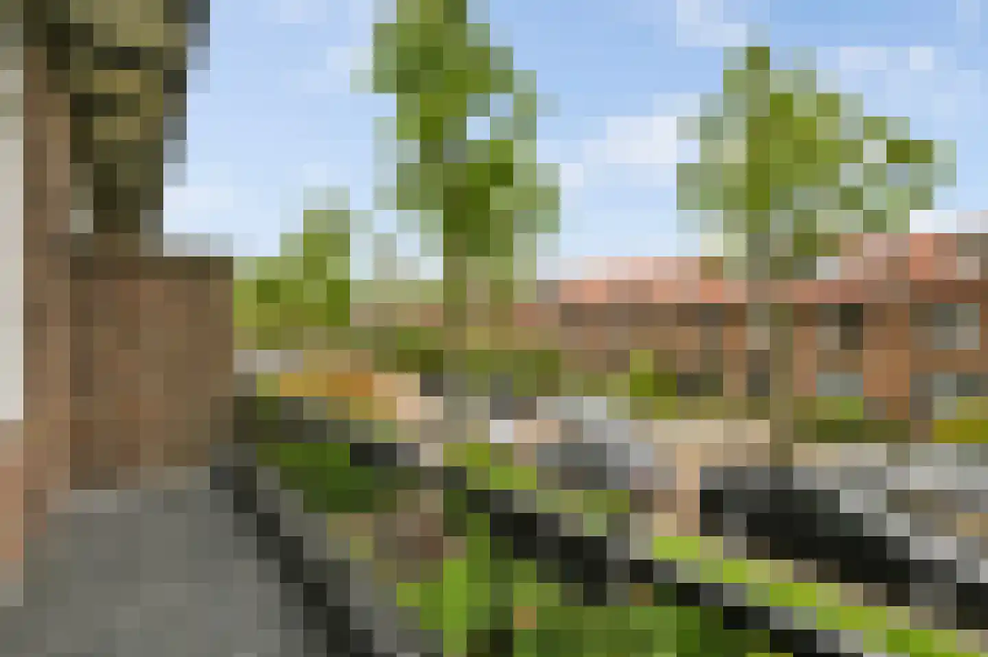 Damsigtstraat 56 Voorburg thumbnail 43