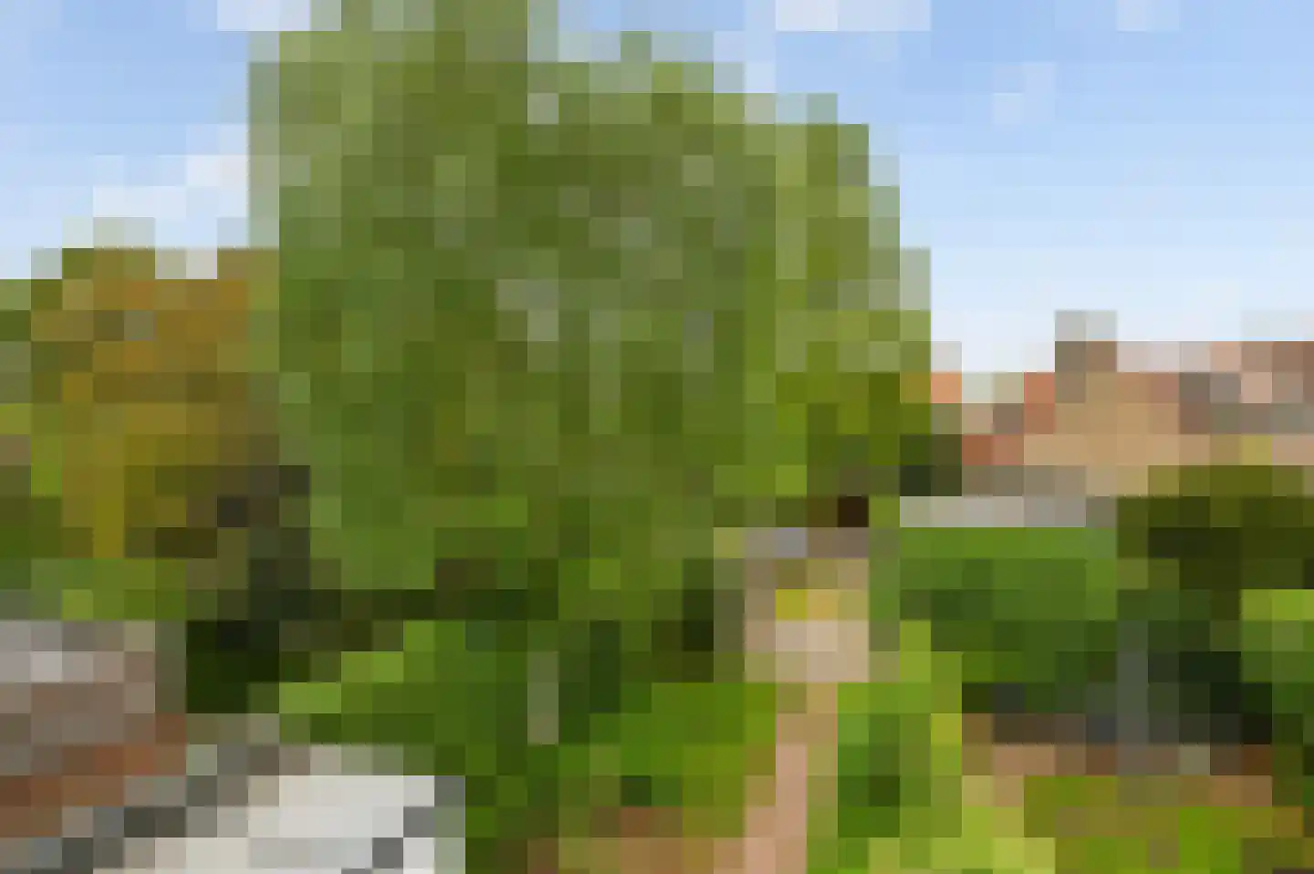 Damsigtstraat 56 Voorburg thumbnail 49