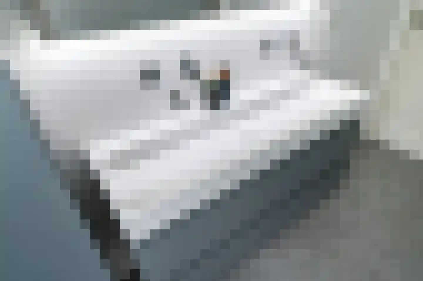Damsigtstraat 56 Voorburg thumbnail 51