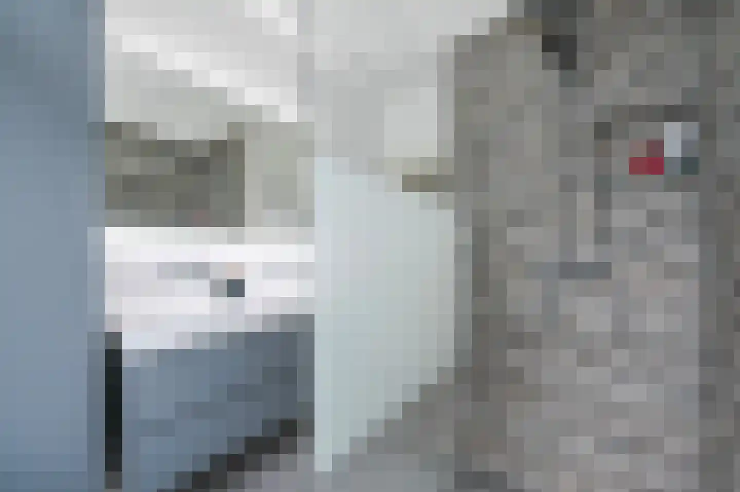 Damsigtstraat 56 Voorburg thumbnail 52