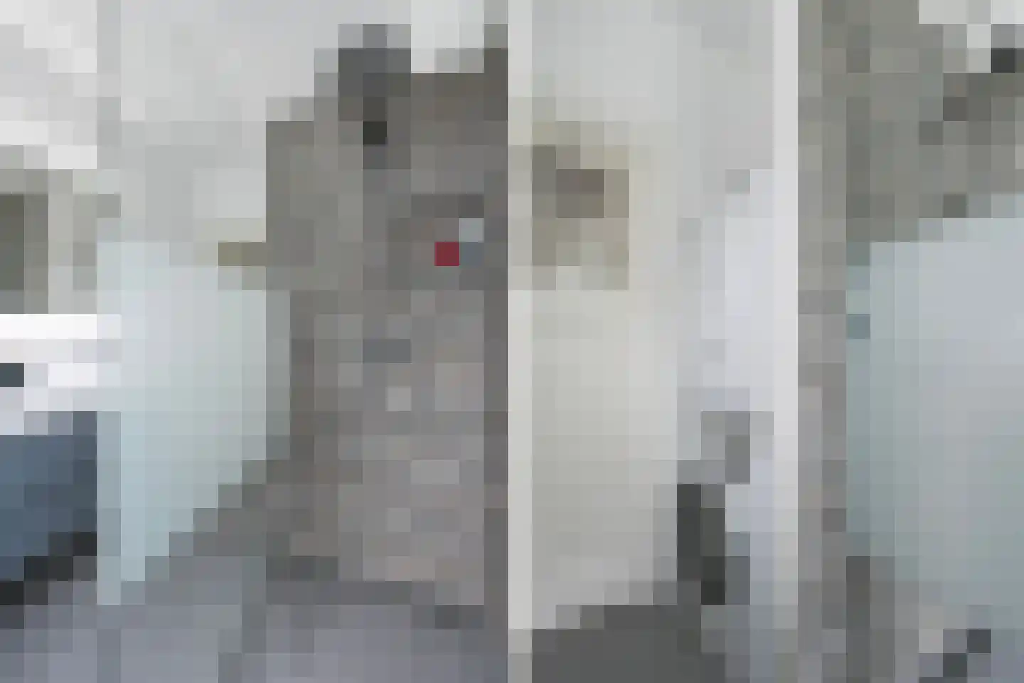 Damsigtstraat 56 Voorburg thumbnail 53