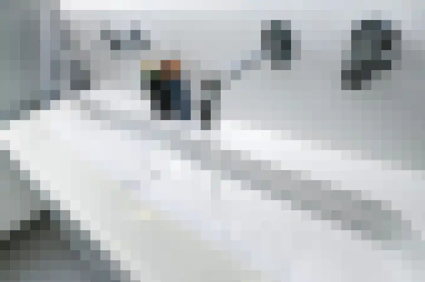 Damsigtstraat 56 Voorburg thumbnail 55