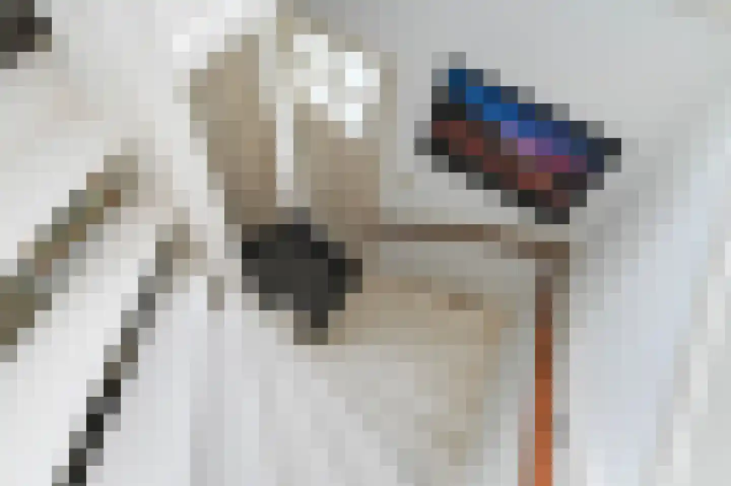 Damsigtstraat 56 Voorburg thumbnail 56