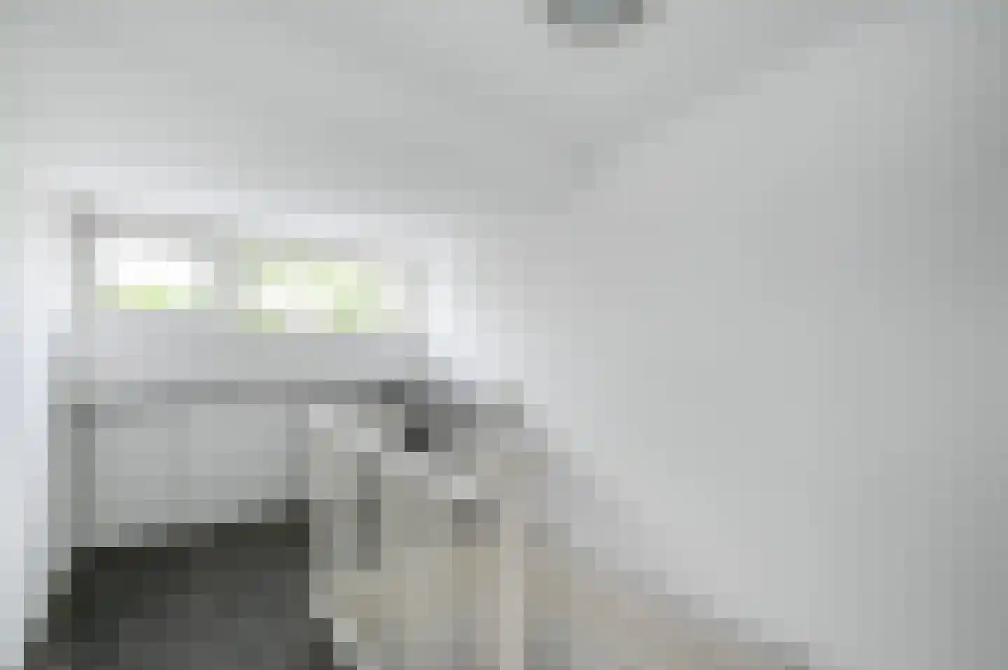 Damsigtstraat 56 Voorburg thumbnail 57