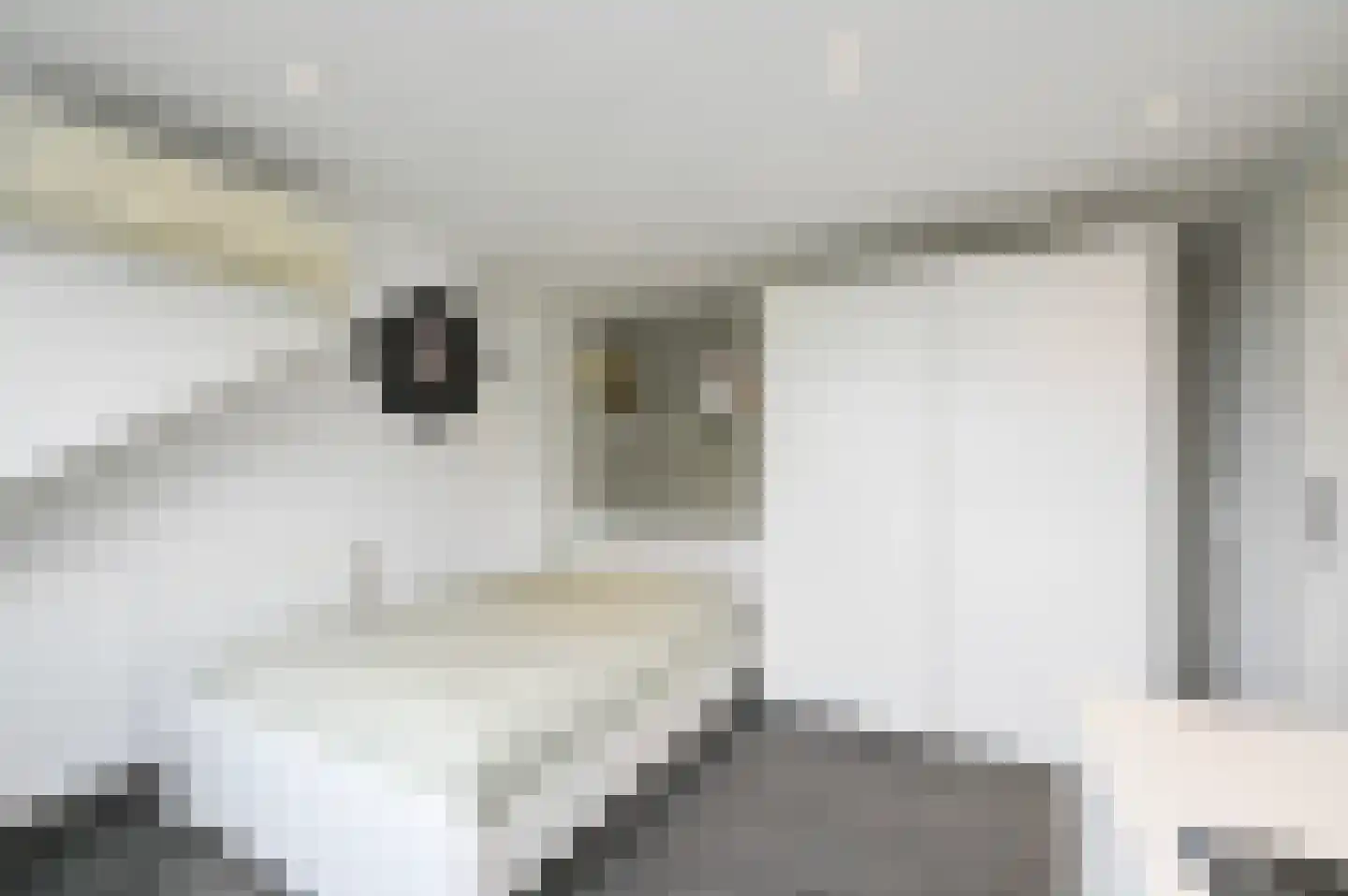 Damsigtstraat 56 Voorburg thumbnail 59
