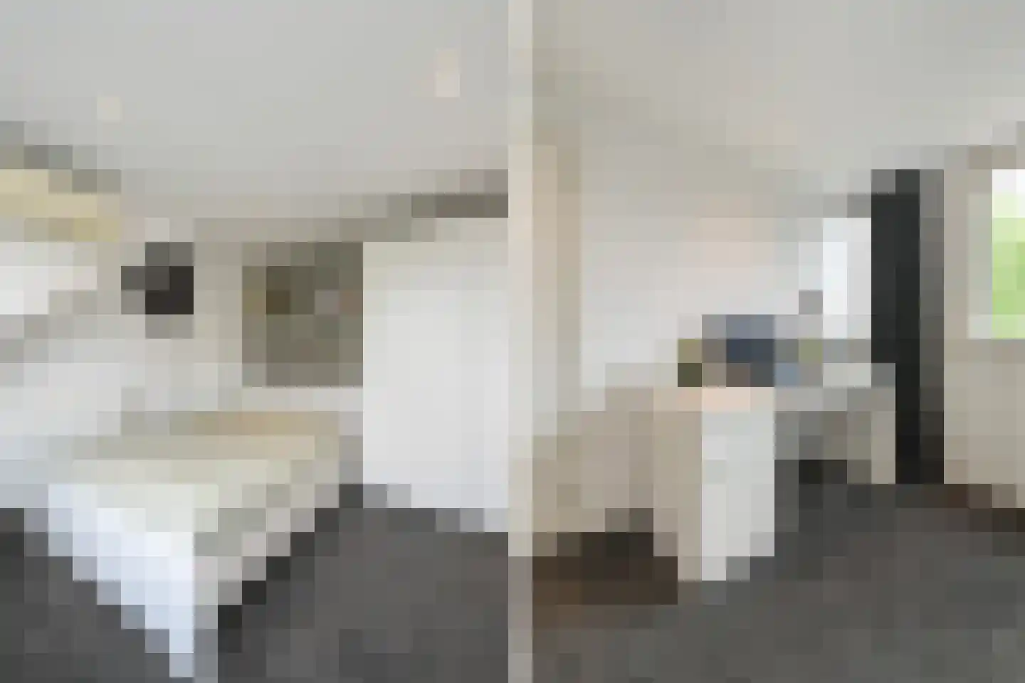Damsigtstraat 56 Voorburg thumbnail 60