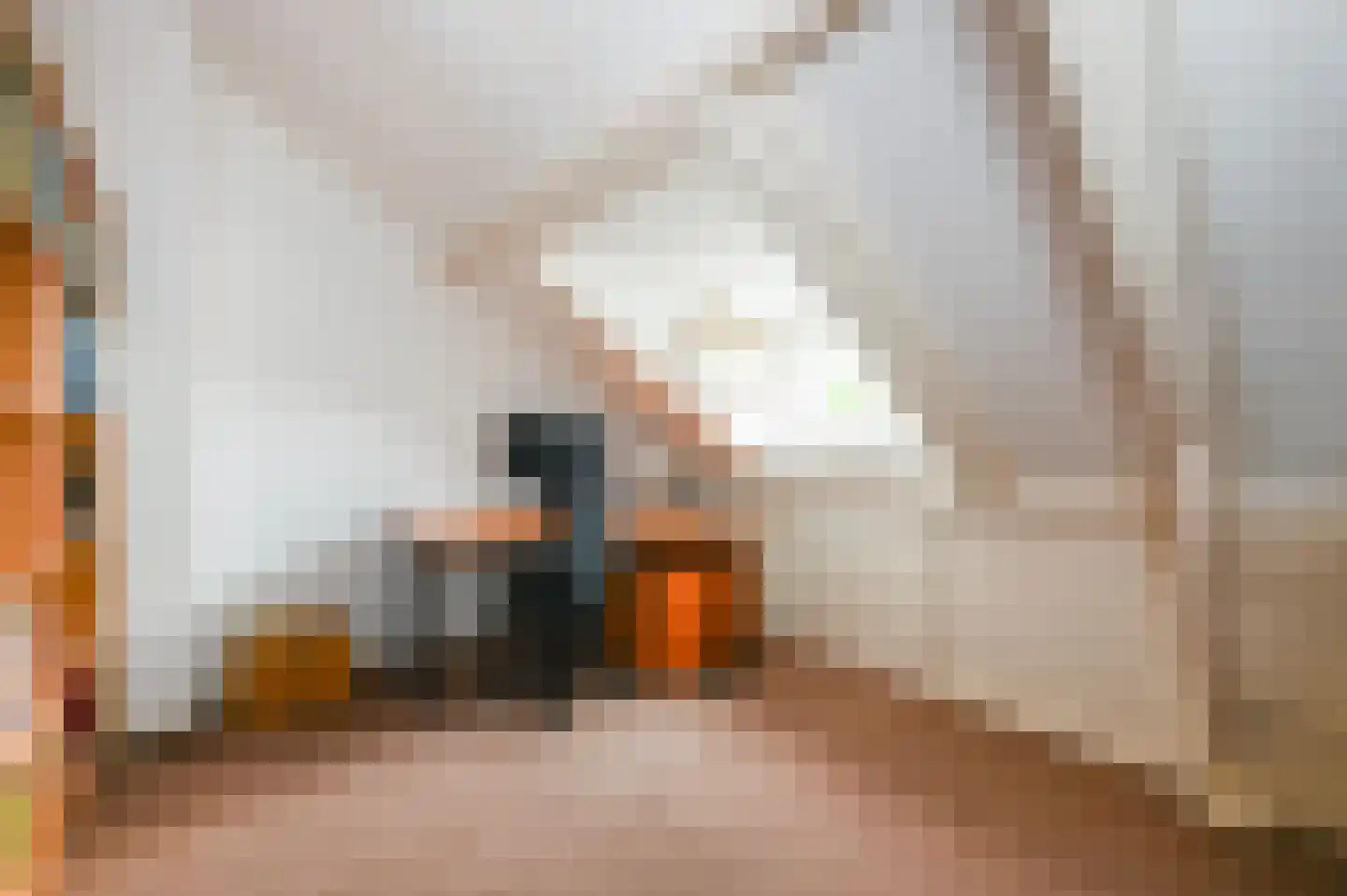 Damsigtstraat 56 Voorburg thumbnail 61